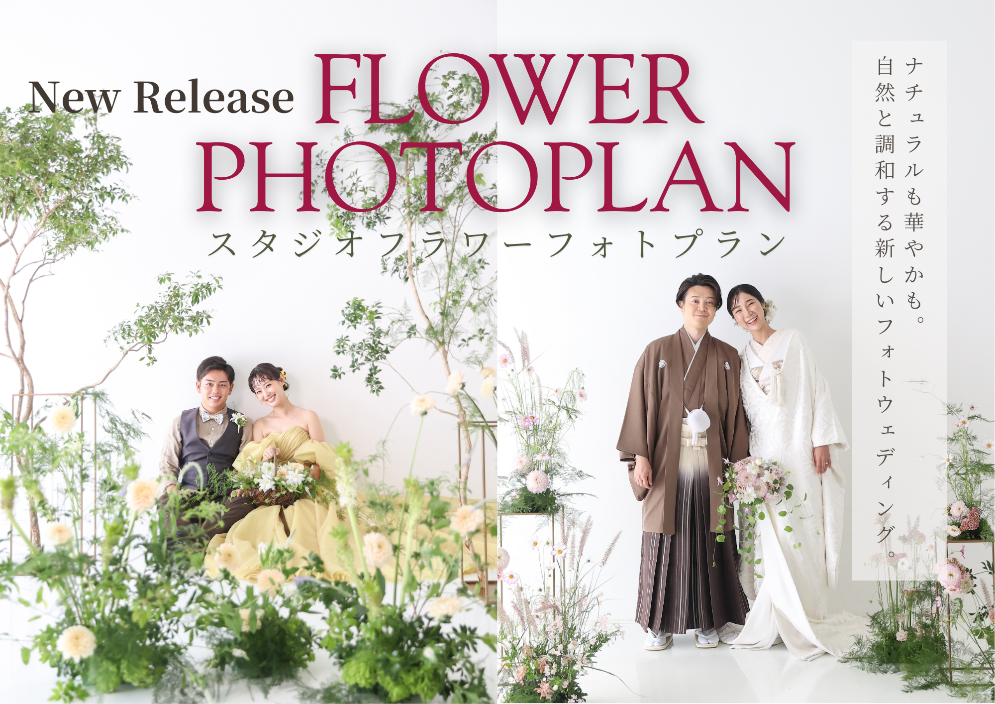 STUDIO-FLOWER-PHOTOPLAN.png